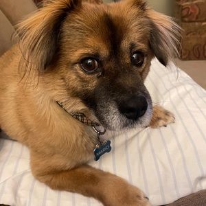 Meet your Posher, Deborah